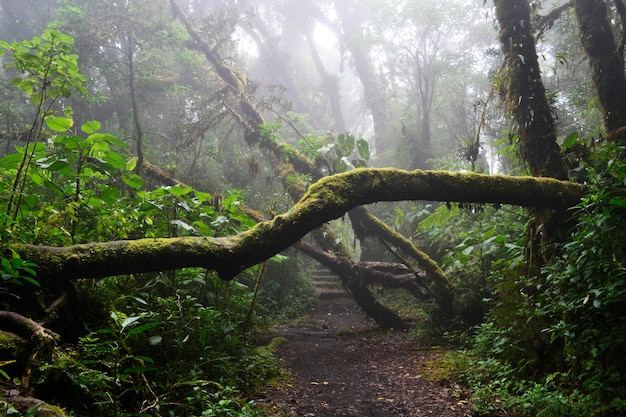 弋陽圭峰旅游攻略