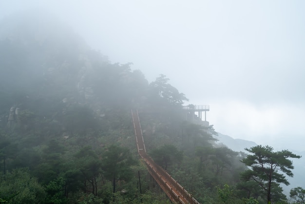 武漢至云臺(tái)山旅游攻略