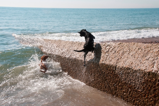 付家莊海水浴場攻略