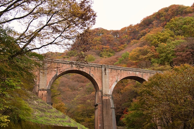 富陽高鐵周邊旅游