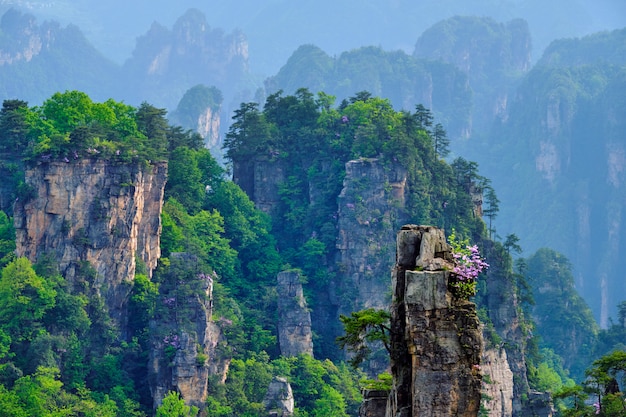 雞西去張家界旅游攻略