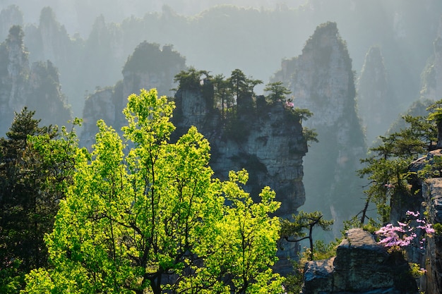 貴州湖南周邊旅游景點大全