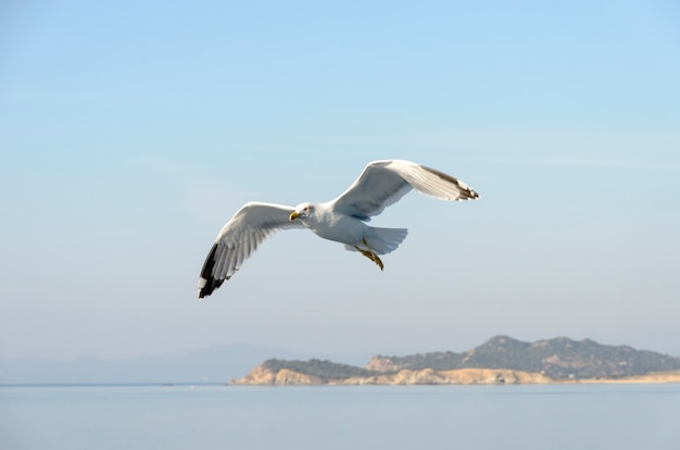 秦皇島 白鷺島攻略