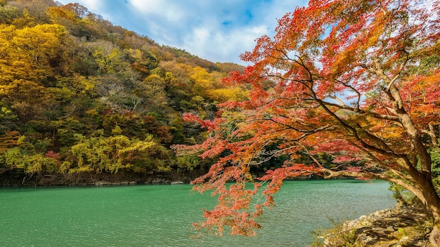 蘇州 大別山 旅游攻略