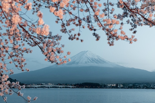 新宿到富士山攻略