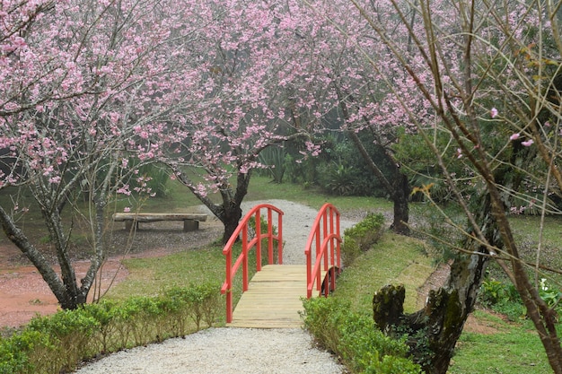 臺(tái)北桃園周邊旅游