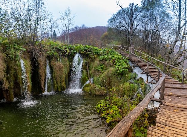 東江湖莽山旅游攻略