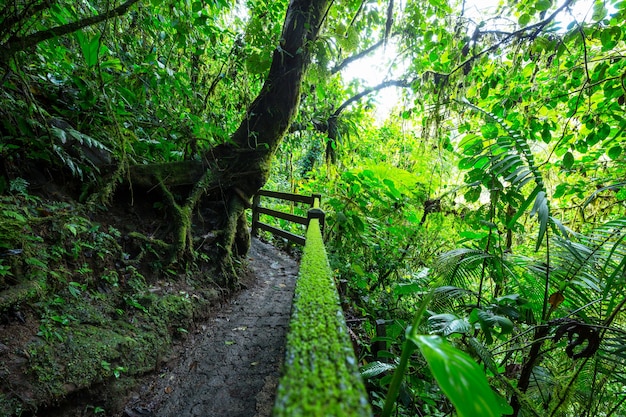 東江湖莽山旅游攻略