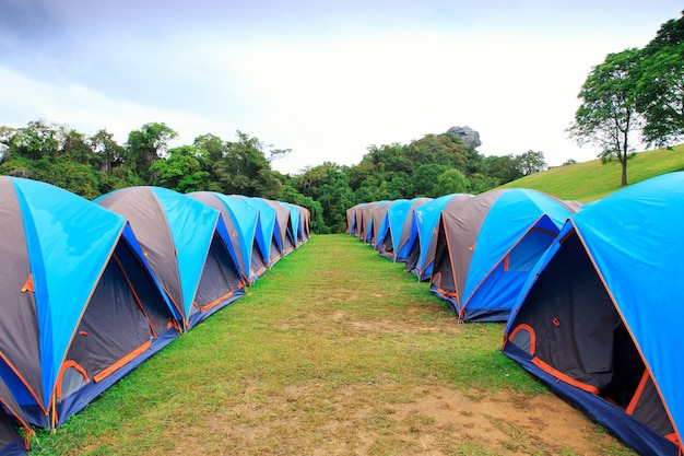 5月臺北阿里山攻略