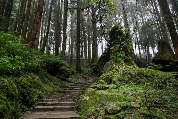 太白山旅游攻略一日游門票