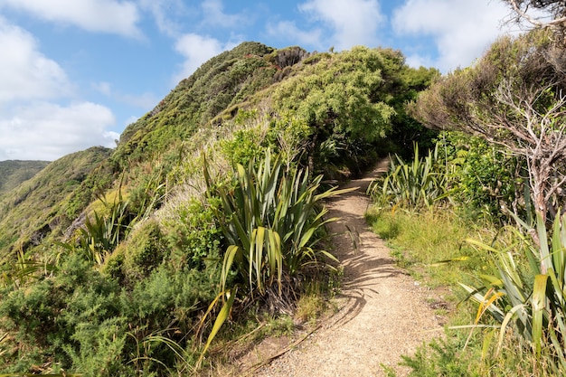 攀枝花百靈山旅游攻略