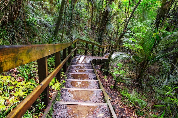 攀枝花百靈山旅游攻略