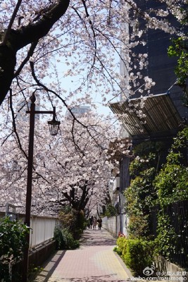 日本一月旅行攻略