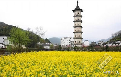 雨天婺源攻略