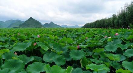 賓陽(yáng)黎塘周邊游