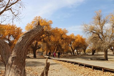 額濟納十月旅游攻略