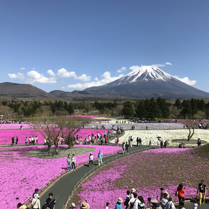 日本清水市旅游攻略