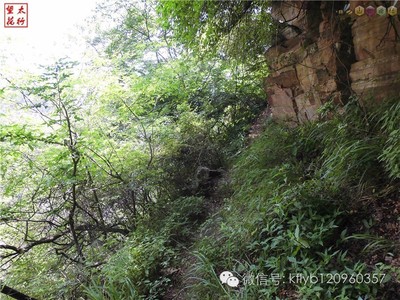 九華山2日旅游攻略