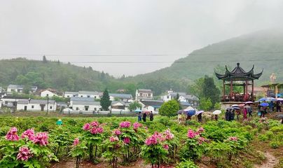 銅陵鳳凰山游玩攻略