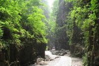 野山坡旅游攻略