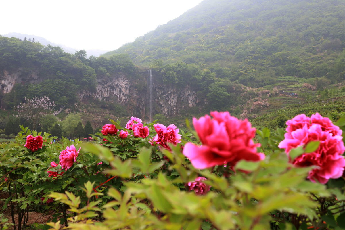 銅陵鳳凰山游玩攻略