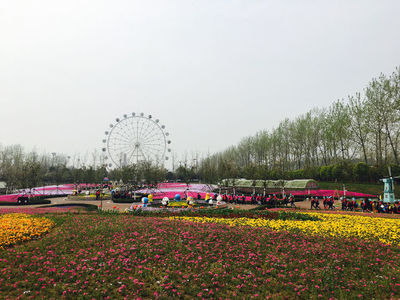 南京雨發(fā)生態(tài)園旅游攻略