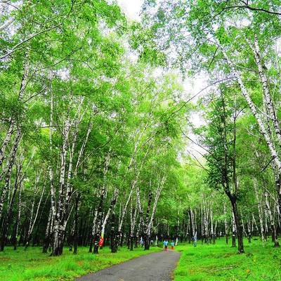 哈爾濱平山旅游區(qū)攻略