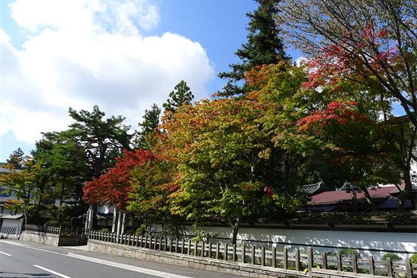 日本10月1日旅游攻略