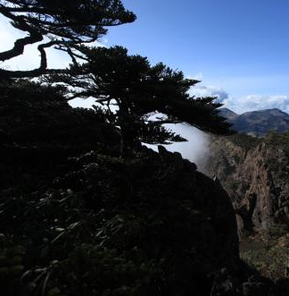 神農(nóng)架五曰旅游攻略