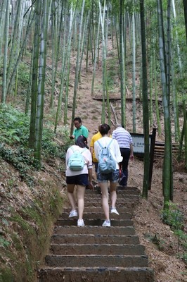 安吉自駕游攻略三日游