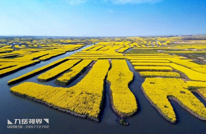 興化千垛油菜花景區(qū)攻略