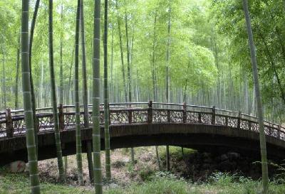 安吉自駕游攻略三日游