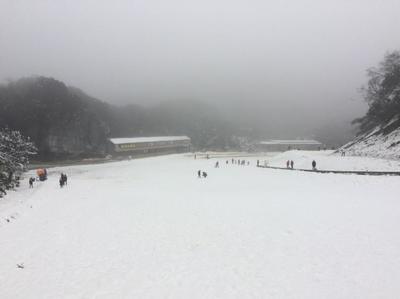 重慶冬季自駕一日游攻略