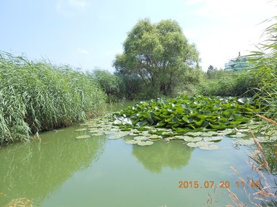 天津 阿爾山旅游攻略