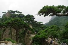 黃山春秋旅行社旅游攻略三日游