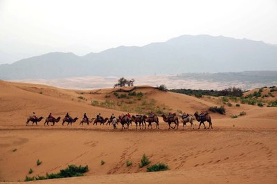 蘭州中衛(wèi)沙坡頭周邊三日旅游