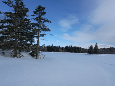 北海道十一月旅游攻略