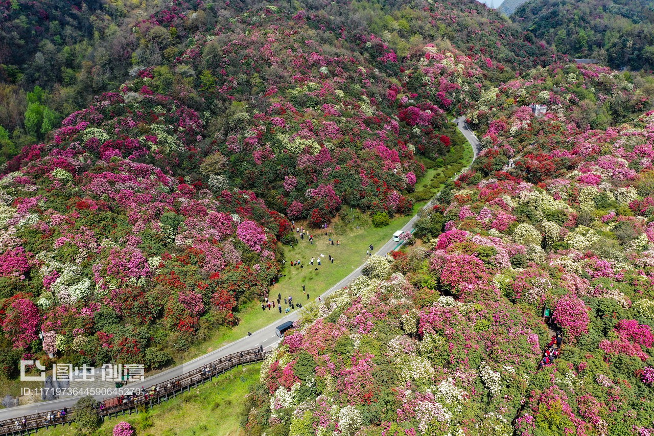 貴陽百里杜鵑金坡景區(qū)旅游攻略