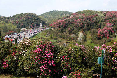 貴陽百里杜鵑金坡景區(qū)旅游攻略