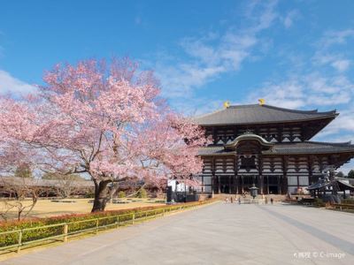 奈良東大寺游玩攻略