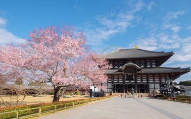 奈良東大寺游玩攻略