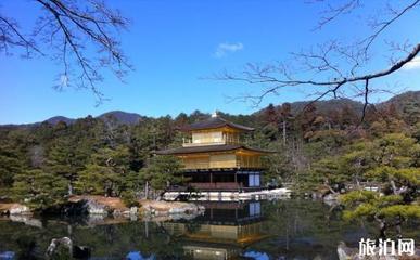 奈良東大寺游玩攻略