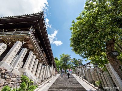 奈良東大寺游玩攻略