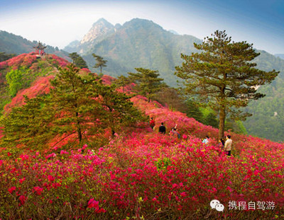 2019麻城龜峰山自駕游攻略