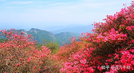 2019麻城龜峰山自駕游攻略