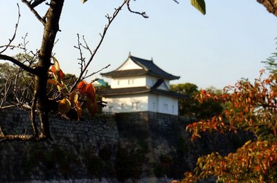 周公山離碧峰峽攻略