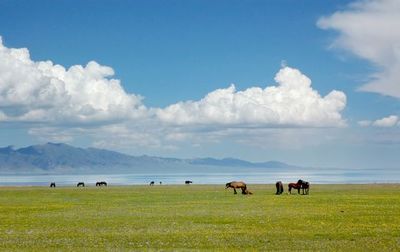 赤峰到云南旅游攻略