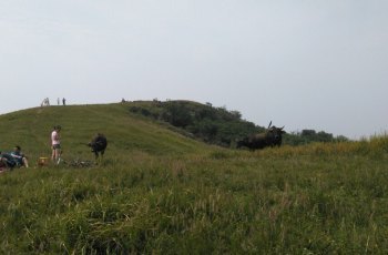 練山旅游攻略