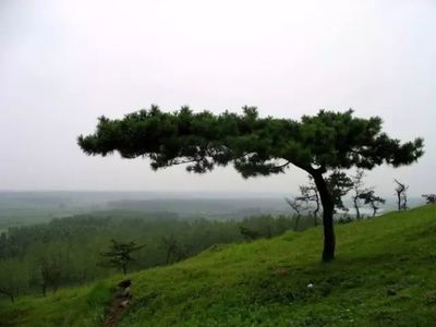 練山旅游攻略