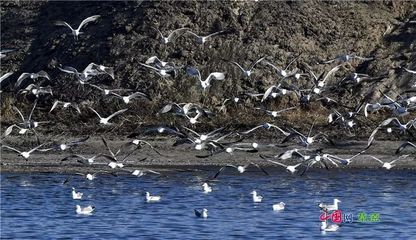 五一假期通遼周邊旅游 清明節(jié)通遼附近好玩的地方